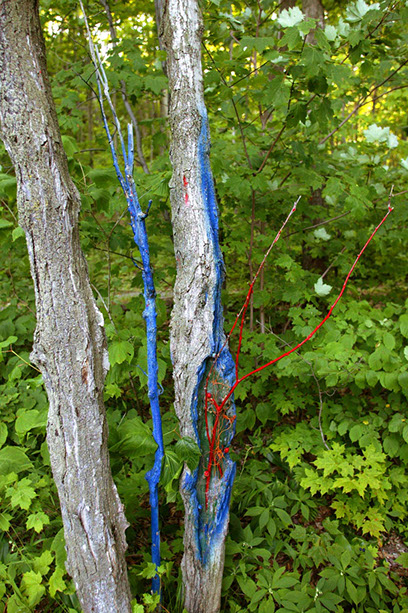 Land Art œuvres numériques de Vandière peintre et sculpteure