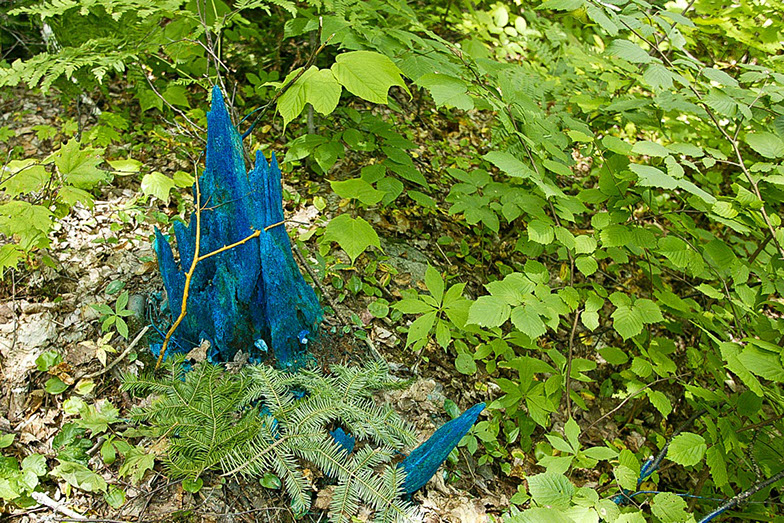 Land Art œuvres numériques de Vandière peintre et sculpteure