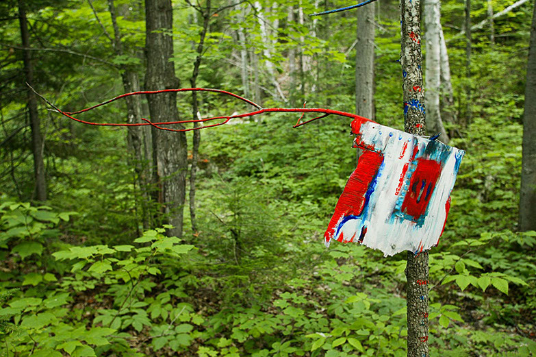 Land Art œuvres numériques de Vandière peintre et sculpteure