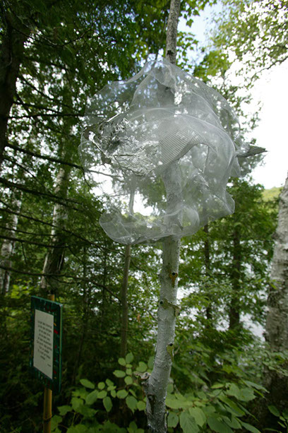 Land Art œuvres numériques de Vandière peintre et sculpteure