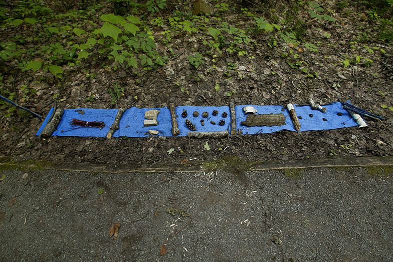 Land Art œuvres numériques de Vandière peintre et sculpteure