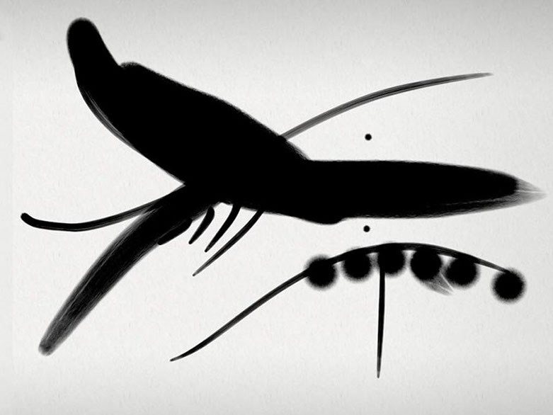 œuvres numériques de Vandière peintre et sculpteure